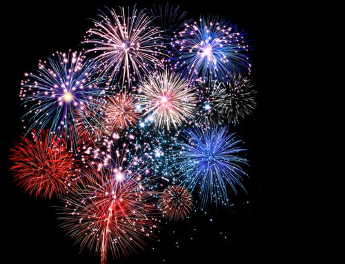Fireworks Fear: 5 Ways to Help Your Petrified Pet During Fireworks Celebrations